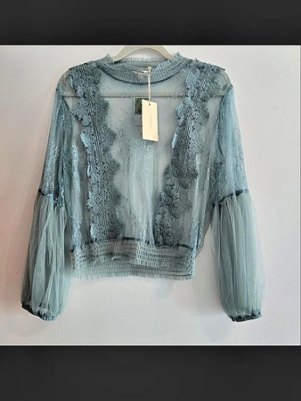 Sheer Lace Sleeve Blouse in Blue NWT Size L22